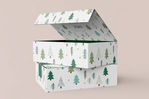 CHRISTMAS POSTAL BOXES