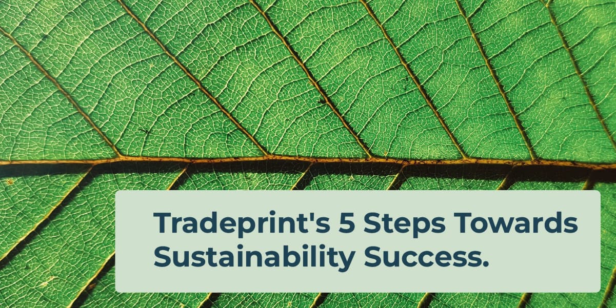 Tradeprint’s 5 Steps Towards Sustainability Success.