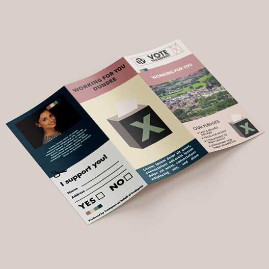 The Place Of Print In The Local Elections